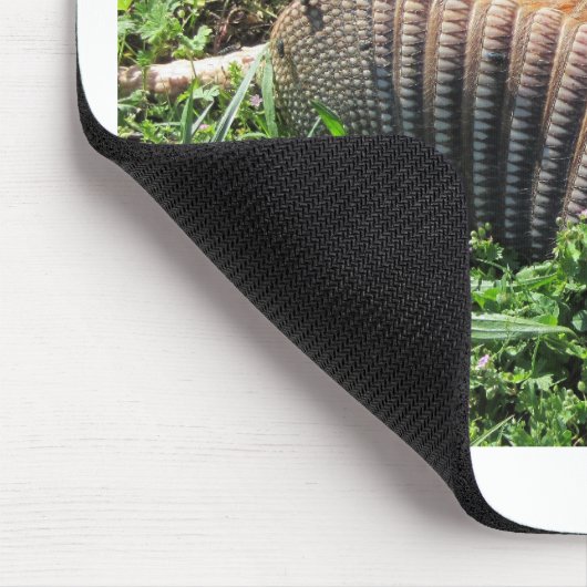 Armadillo Road Kill - Dasypodidae Muismat (Hoek)