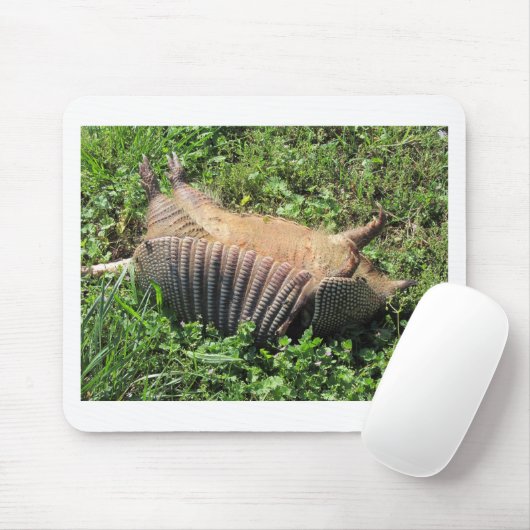 Armadillo Road Kill - Dasypodidae Muismat (Met muis)