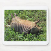 Armadillo Road Kill - Dasypodidae Muismat (Voorkant)