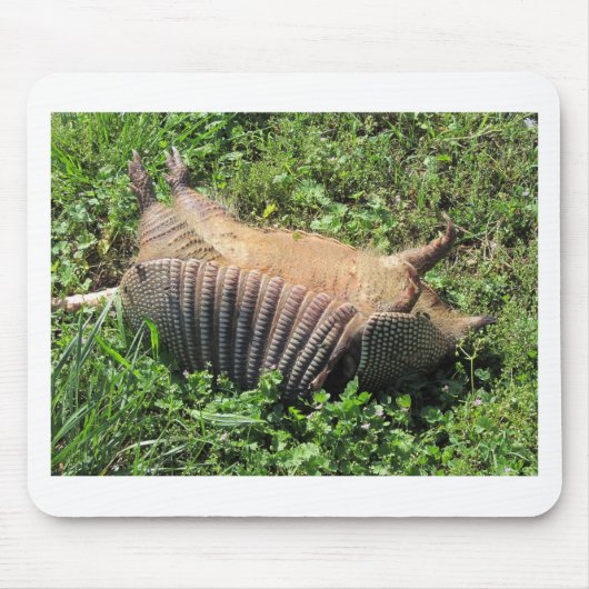 Armadillo Road Kill - Dasypodidae Muismat (Voorkant)