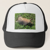Armadillo Road Kill - Dasypodidae Trucker Pet (Voorkant)