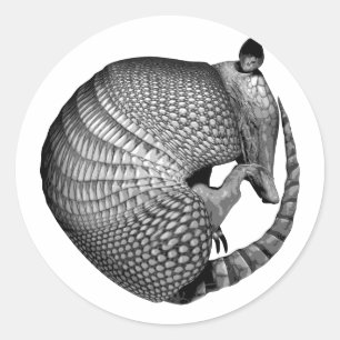 Armadillo Ronde Sticker