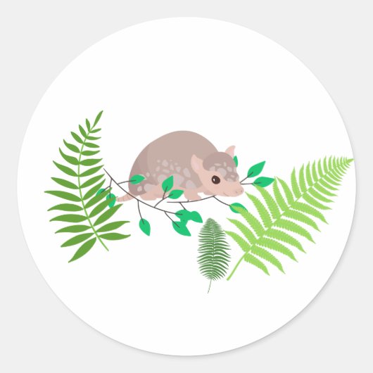 Armadillo Sticker (Voorkant)