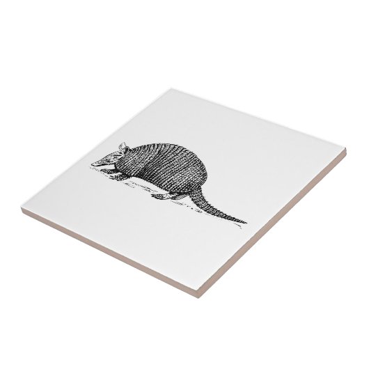 Armadillo Tegeltje (Zijkant)