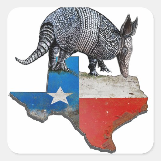 Armadillo Texas State Flag Kaart Vierkante Sticker (Voorkant)