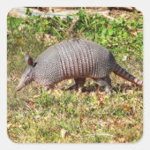 Armadillo Vierkante Sticker (Voorkant)