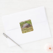 Armadillo Vierkante Sticker (Envelop)