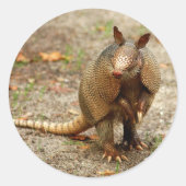 Armadillo wild dier ronde sticker (Voorkant)
