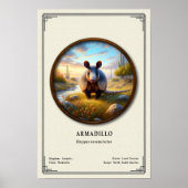 Armadillo Zoölogie Serie Poster (Voorkant)