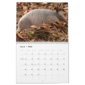 Armadillos Kalender (Mar 2026)