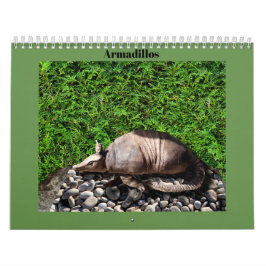 Armadillos Kalender