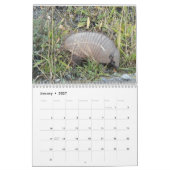 Armadillos Kalender (Jan 2027)