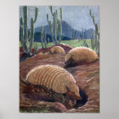 Armadillos van Louis Sargent,  wilde dieren Poster (Voorkant)