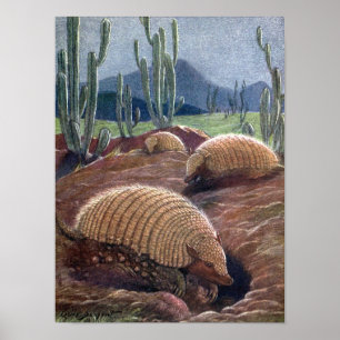 Armadillos van Louis Sargent, wilde dieren Poster