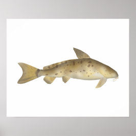 Armado Poster
