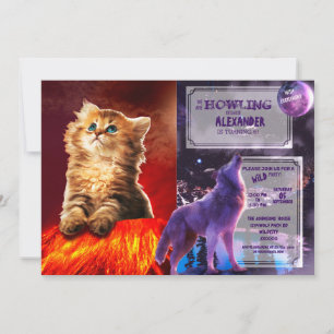 Armageddon cat kaart