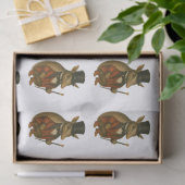 Armand, armadillo-circusdirecteur tissuepapier (Geschenk)