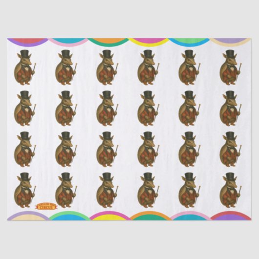 Armand, armadillo ringmaster tissuepapier (Voorkant)