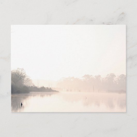 Armand Bayou mist Briefkaart (Voorkant)