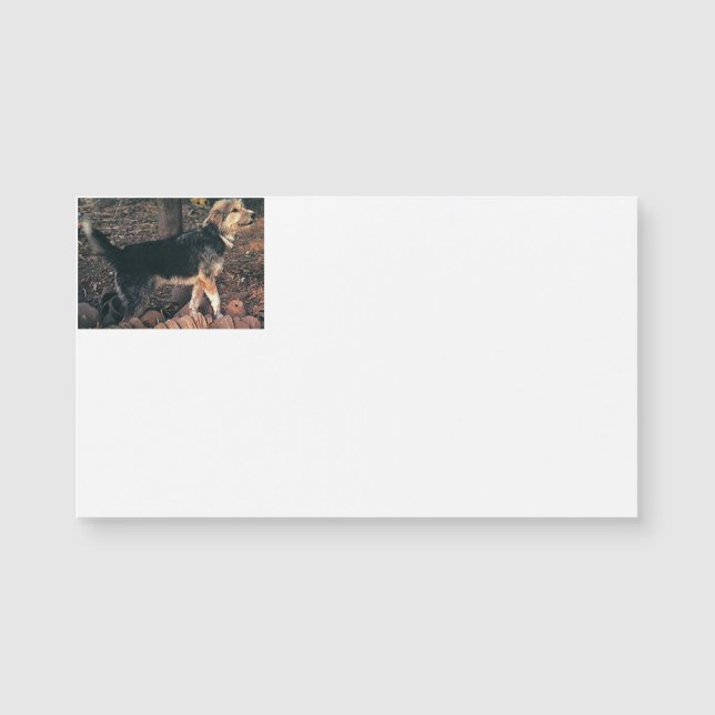 Armant full.png (Voorkant)