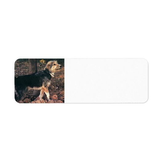 Armant full.png etiket (Voorkant)