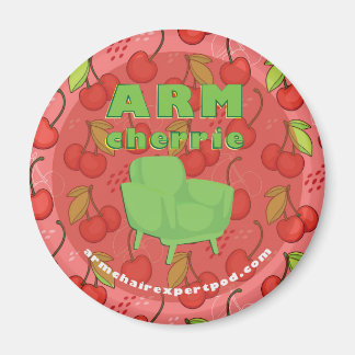 ArmChair Expert Podcast Car Magnet