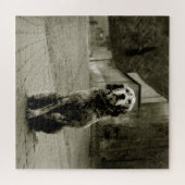 Arme hond die wacht legpuzzel (Horizontaal)