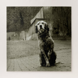 Arme hond die wacht legpuzzel