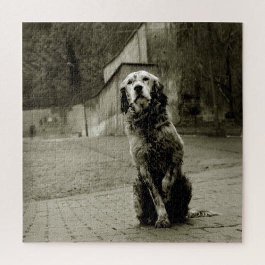 Arme hond die wacht legpuzzel (Verticaal)