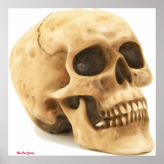 Arme Yorick Poster (Voorkant)