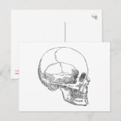 Arme Yorick Skull Briefkaart (Voorkant / Achterkant)