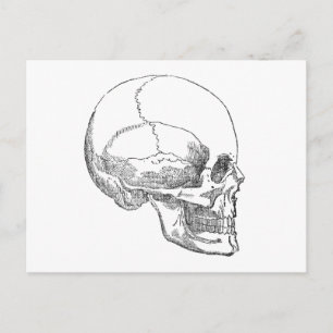 Arme Yorick Skull Briefkaart