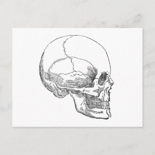 Arme Yorick Skull Briefkaart (Voorkant)