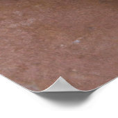 Armeens Gampr - Dog Portrait Poster (Hoek)