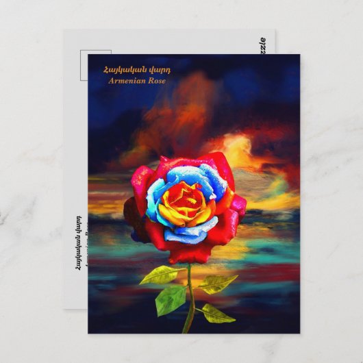 Armeens Roos Briefkaart (Voorkant / Achterkant)