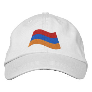 Armeense vlag pet