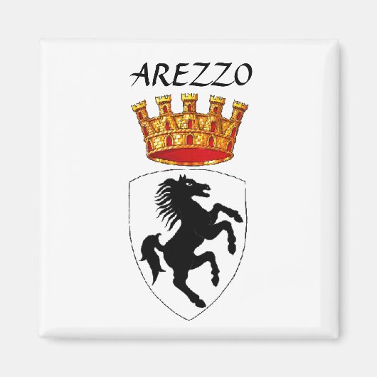 Armoede van de Arezzo Magneet (Voorkant)