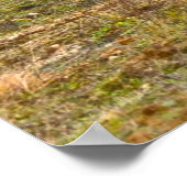 ARMORED PERSONNEL CARRIER - Stryker Poster (Hoek)