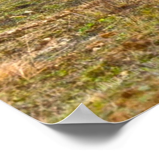 ARMORED PERSONNEL CARRIER - Stryker Poster (Hoek)