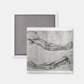 Arms onderzoek magneet (Voorkant / Achterkant)