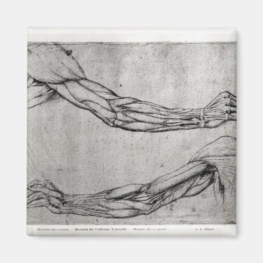 Arms onderzoek magneet (Voorkant)