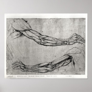 Arms onderzoek poster