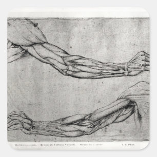 Arms onderzoek vierkante sticker