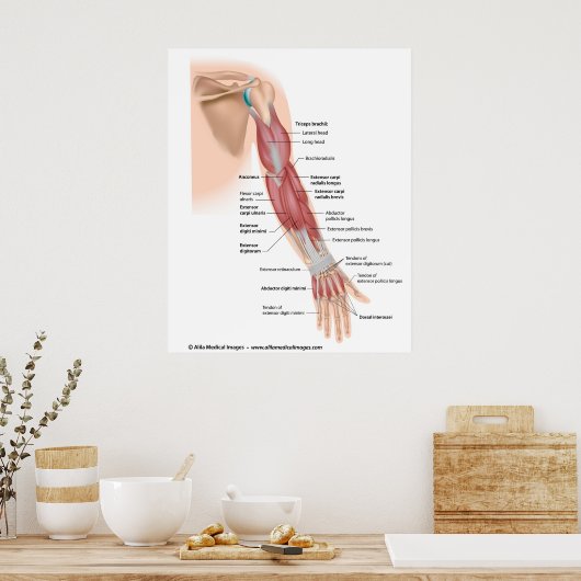 Armspieren achter uitzicht, met de vermelding teke poster (Keuken)