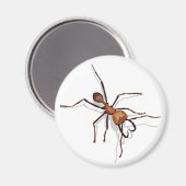 Army Ant Magnet (Voorkant / Achterkant)