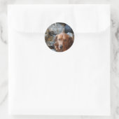 Army Dog Stickers (Tas)