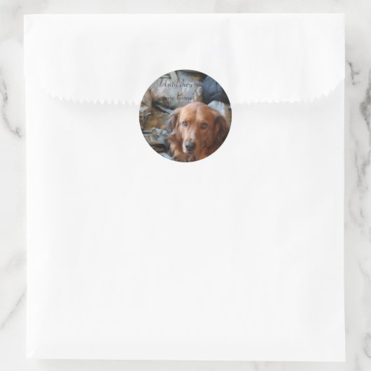 Army Dog Stickers (Tas)