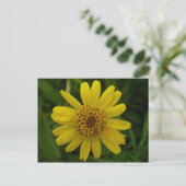 Arnica Blossom, Unalaska Island Briefkaart (Staand voorkant)