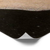 Arnolfini en Wife Portrait (detail) Poster (Hoek)