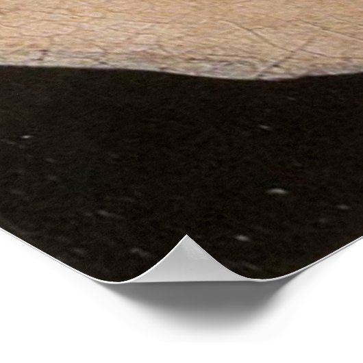 Arnolfini en Wife Portrait (detail) Poster (Hoek)